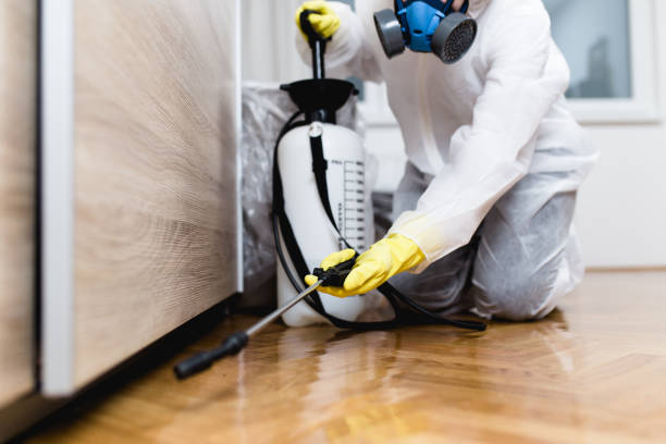 Best Pest Inspection Near Me  in Rockwood, VA