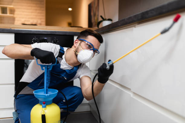 Best Local Pest Control Services  in Rockwood, VA