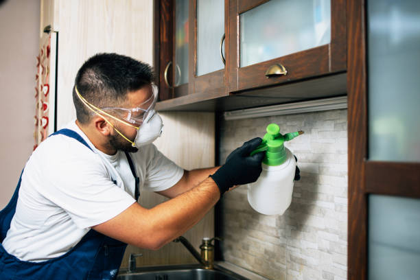 Best Bed Bug Extermination  in Rockwood, VA