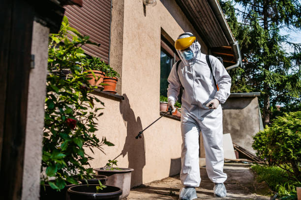 Best Pest Control Near Me in Rockwood, VA