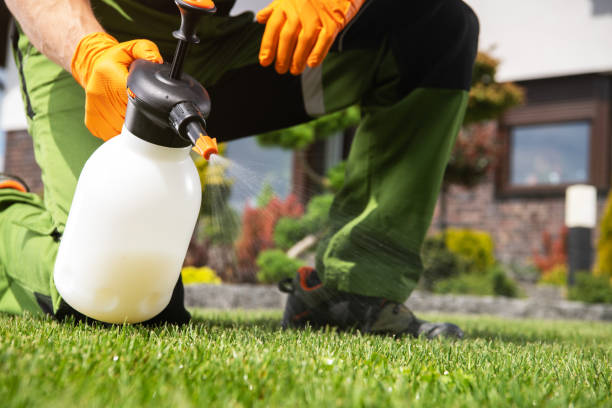 Best Best Pest Control Near Me  in Rockwood, VA
