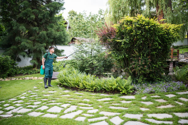 Best Mosquito Control Services  in Rockwood, VA