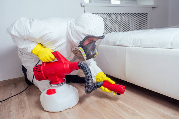 Best Rat Extermination Near Me  in Rockwood, VA