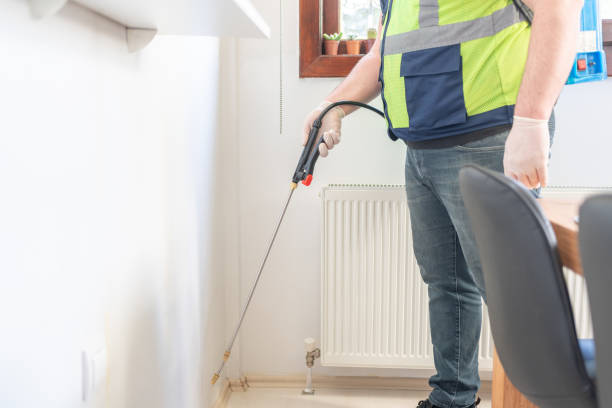 Best Flea Control Services  in Rockwood, VA