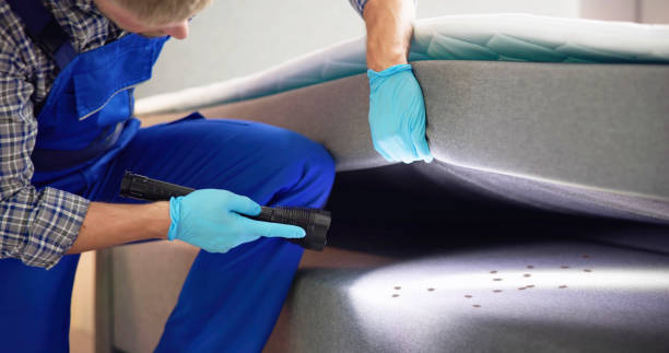 Best Pest Control Near Me  in Rockwood, VA