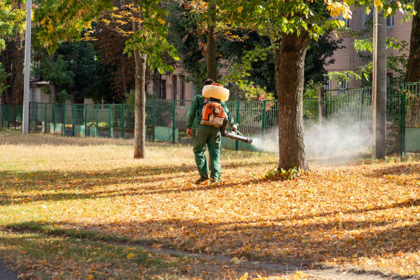 Best Bird Control  in Rockwood, VA